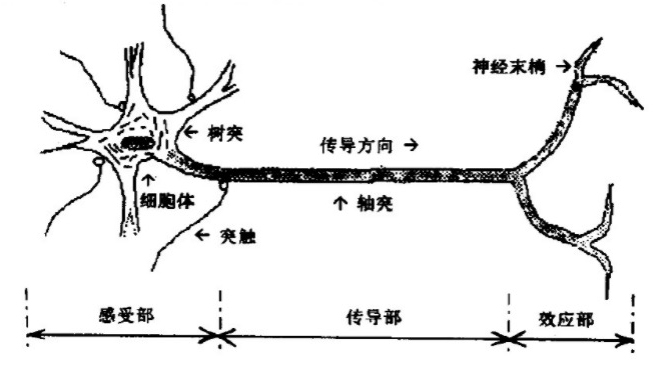 硬件开发