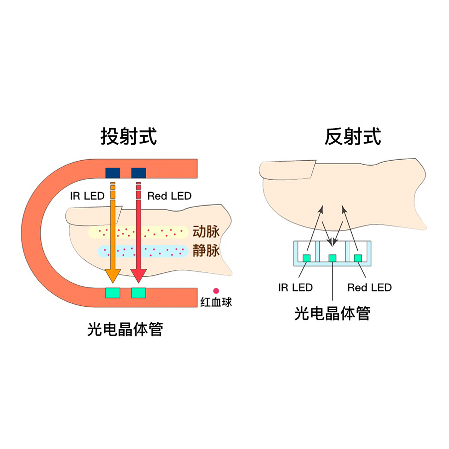 血氧仪解决方案